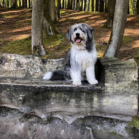 Sehnsucht Ruegen Ferienappartements Sellin  Bagian luar foto