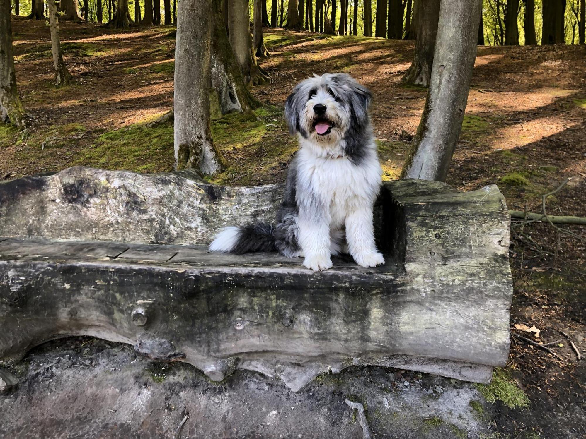 Sehnsucht Ruegen Ferienappartements Sellin  Bagian luar foto