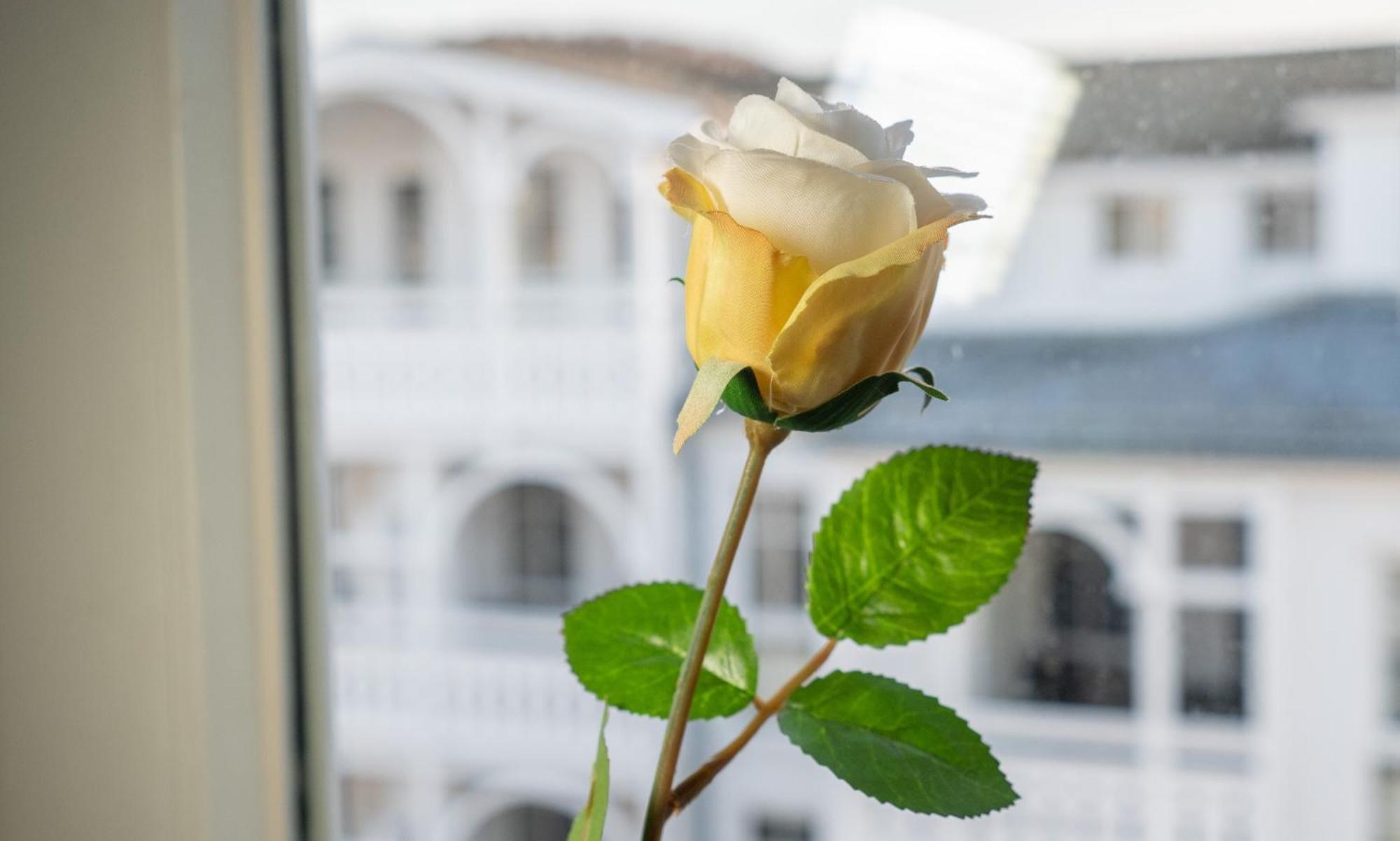 Sehnsucht Ruegen Ferienappartements Sellin  Bagian luar foto
