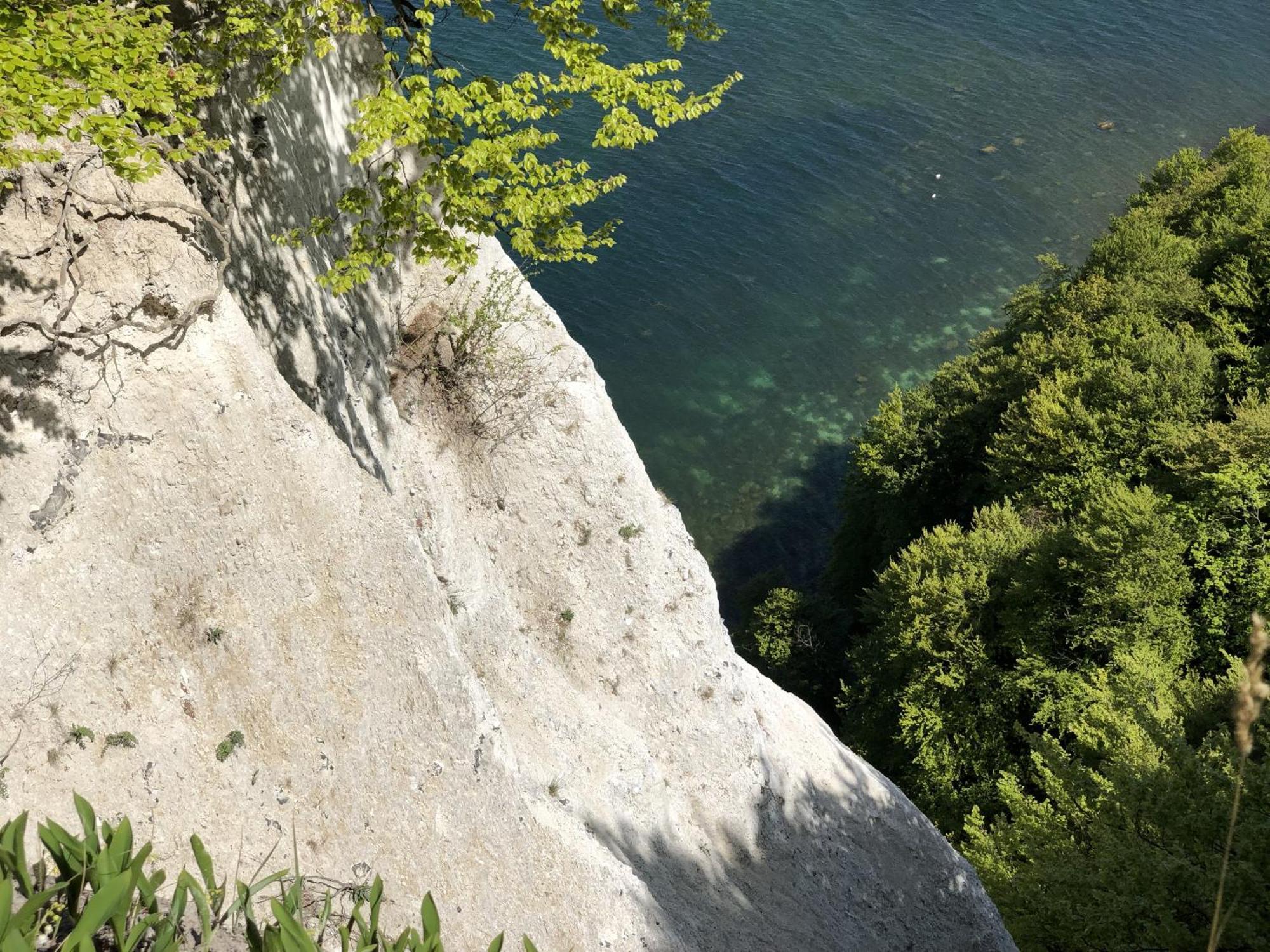 Sehnsucht Ruegen Ferienappartements Sellin  Bagian luar foto