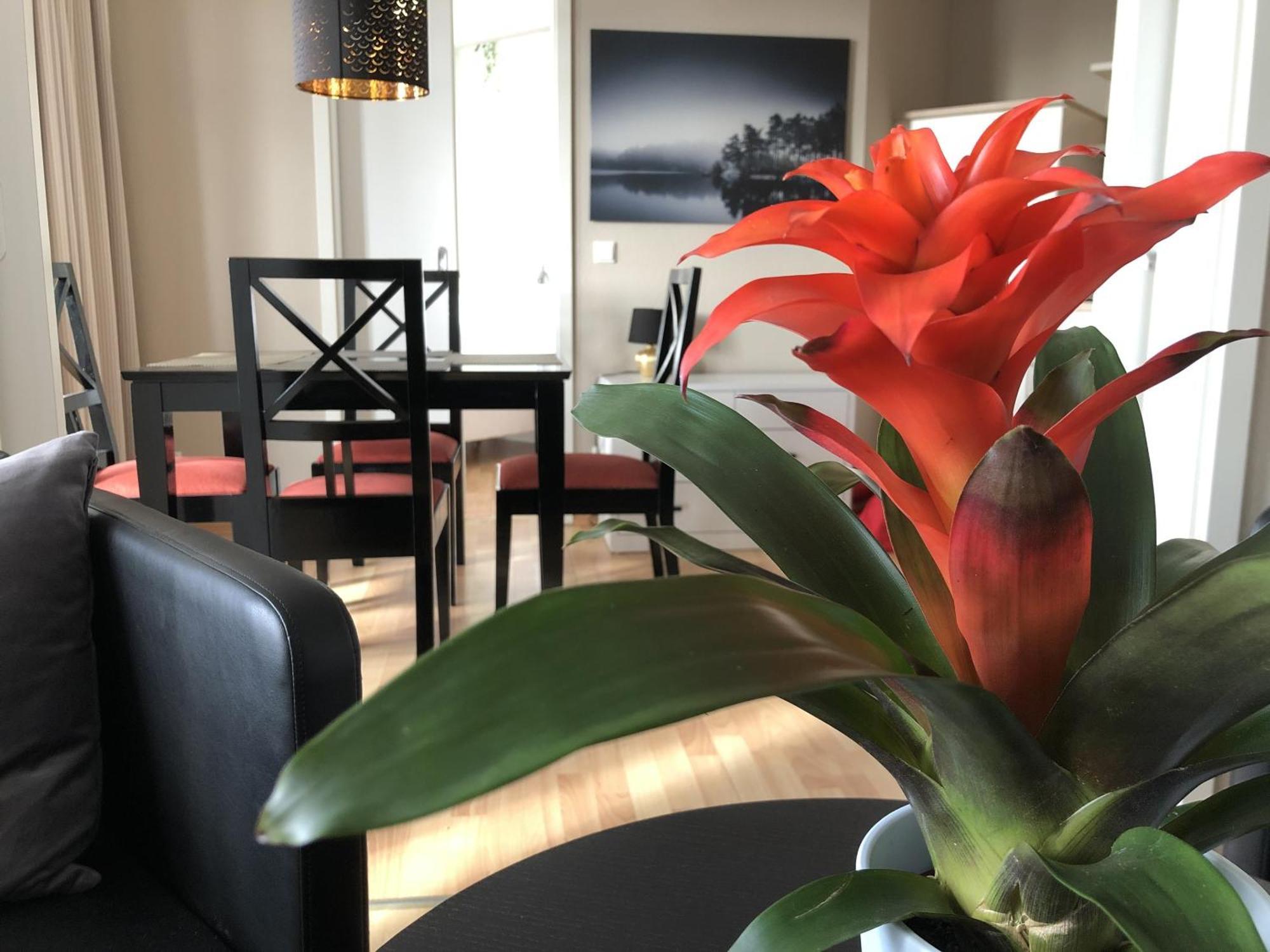 Sehnsucht Ruegen Ferienappartements Sellin  Bagian luar foto
